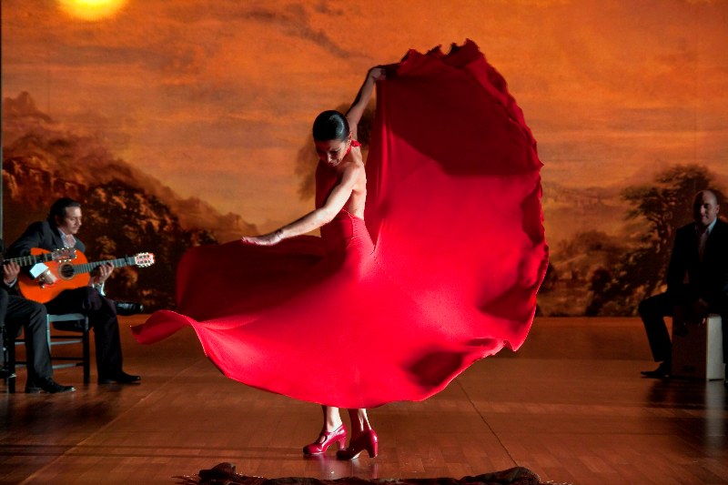スペイン映画大好き！flamenco flamenco（フラメンコ・フラメンコ ...